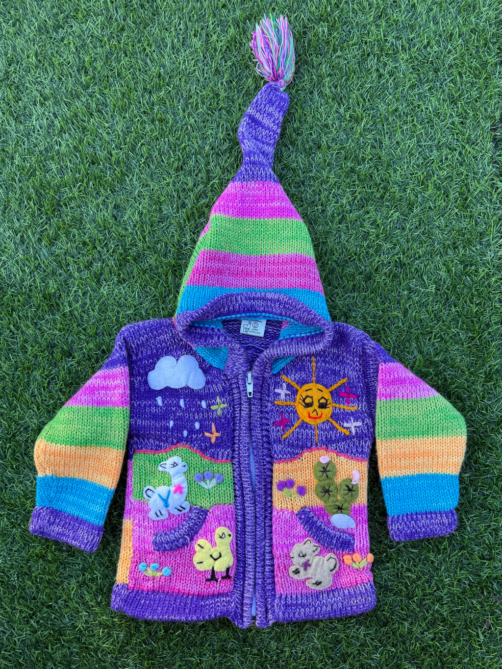 Peruvian Fairy Garden Baby Sweater 🦙🌈