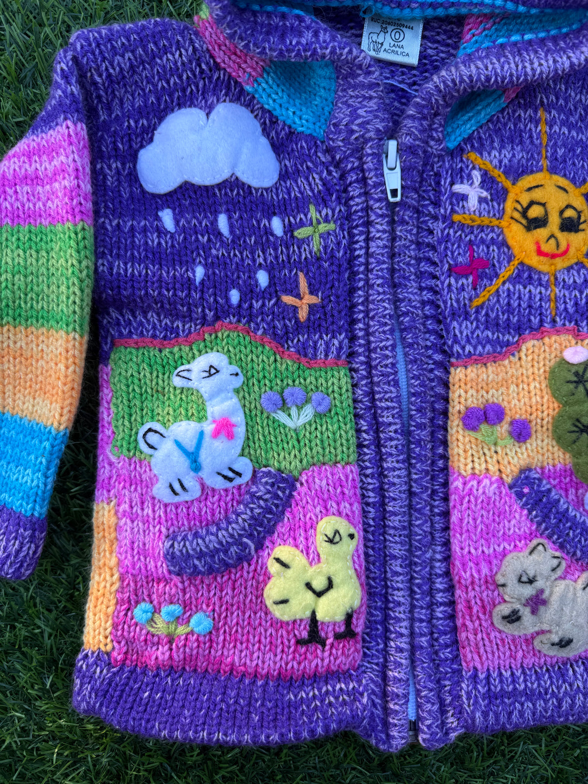 Peruvian Fairy Garden Baby Sweater 🦙🌈